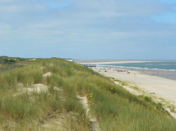 Der Witte Boulevard befindet sich direkt gegenüber dem Zentrum von Renesse